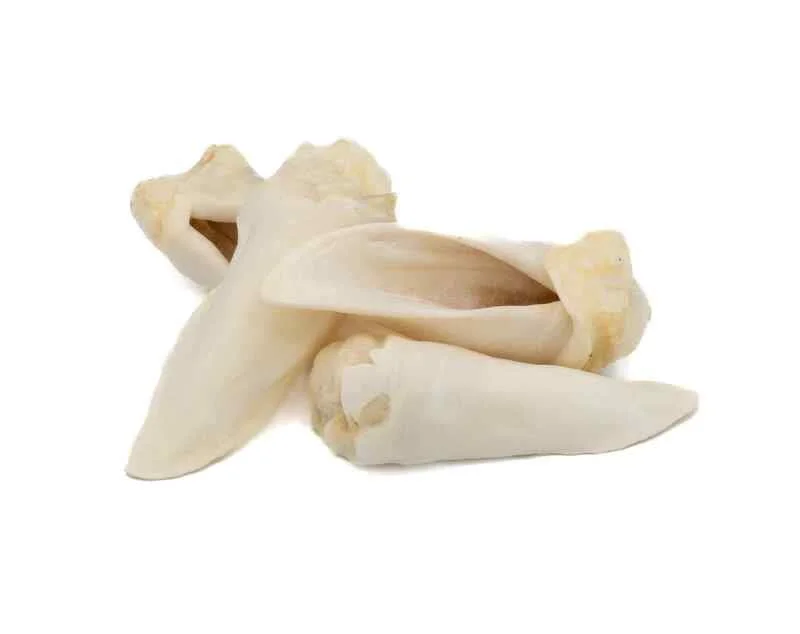 Furever Pure Lamb Ears - Large 3-Pack