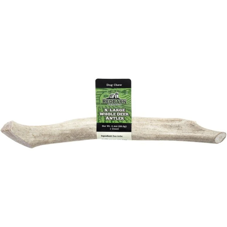 Redbarn X Large Whole Deer Antler Dog Chew