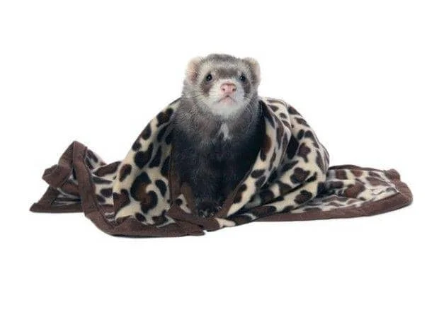 Marshall Designer Fleece Blanket for Small Animals - 1 count