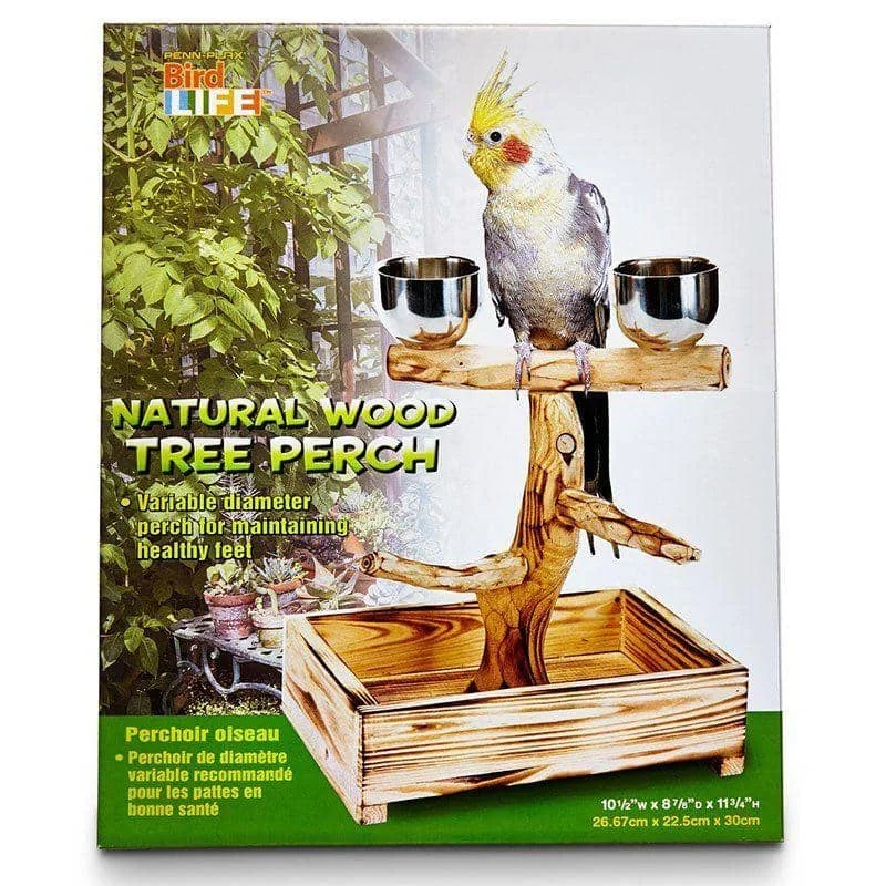 Penn Plax Bird Life Natural Wood Tree Perch - 11" High - (Small & Medium Birds)